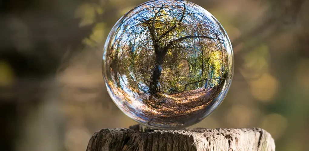 Photo d'une sphère en verre reflétant un arbre