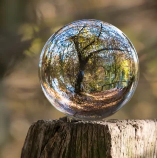 Photo d'une sphère en verre reflétant un arbre