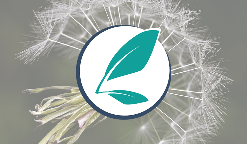 pissenlit avec le logo de prairial par dessus