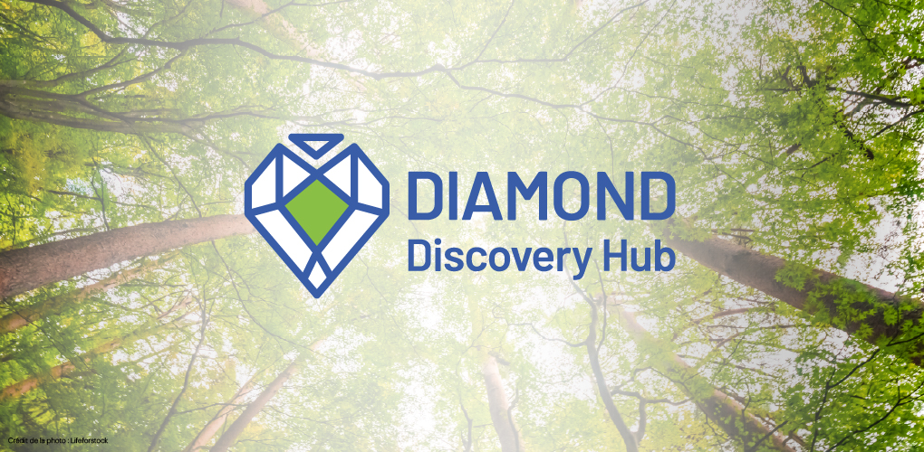 Logo du DHH devant la photo d'une forêt